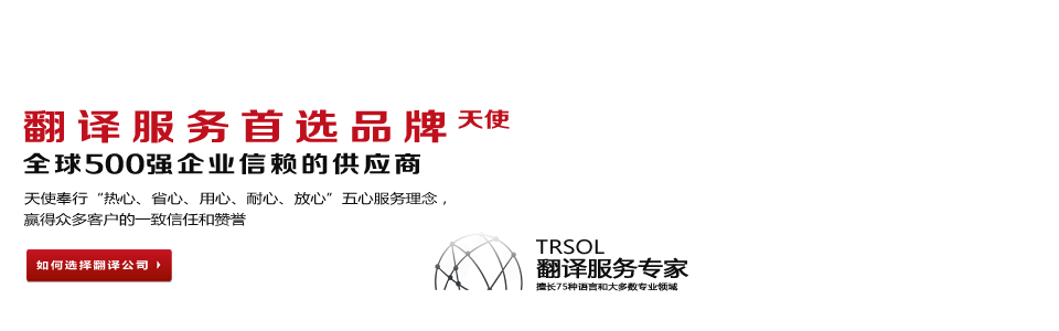 翻譯服務(wù)案例-