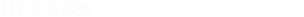 外文翻譯公司的其他服務(wù)